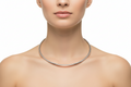Sleek Radiance Silver Choker
